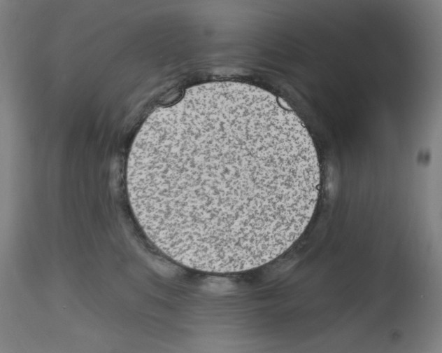 X0000112480519200909281112