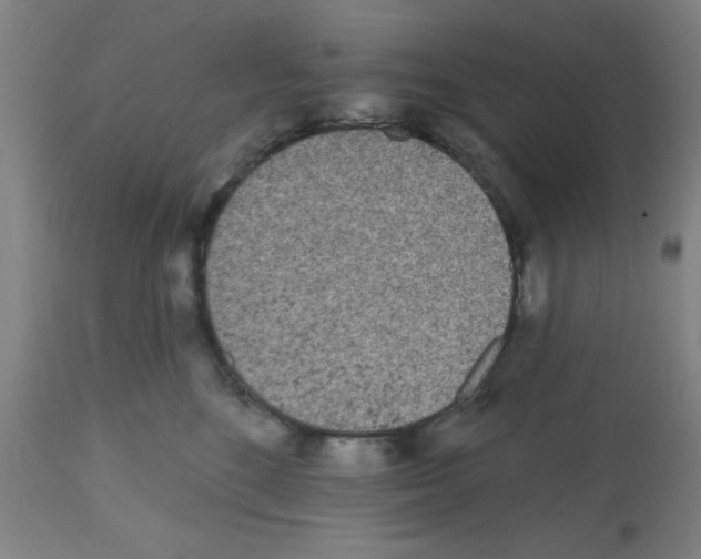 X0000112480520200909281112