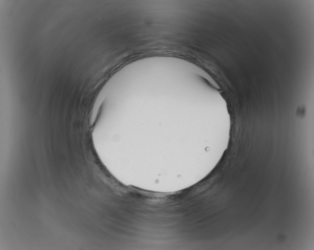 X0000112480521200909281112