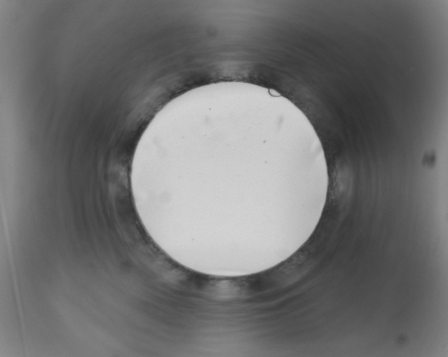 X0000112480522200909281112