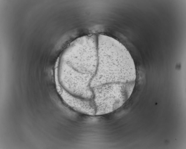 X0000112480523200909281112