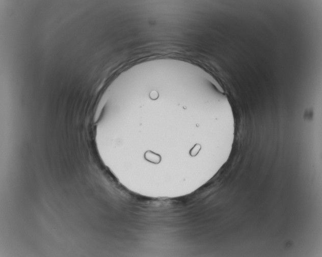 X0000112480524200909281112