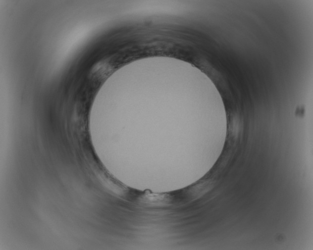 X0000112480526200909281112