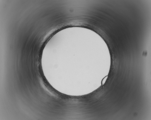 X0000112480530200909281111