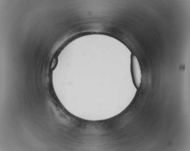 X0000112480532200909281111