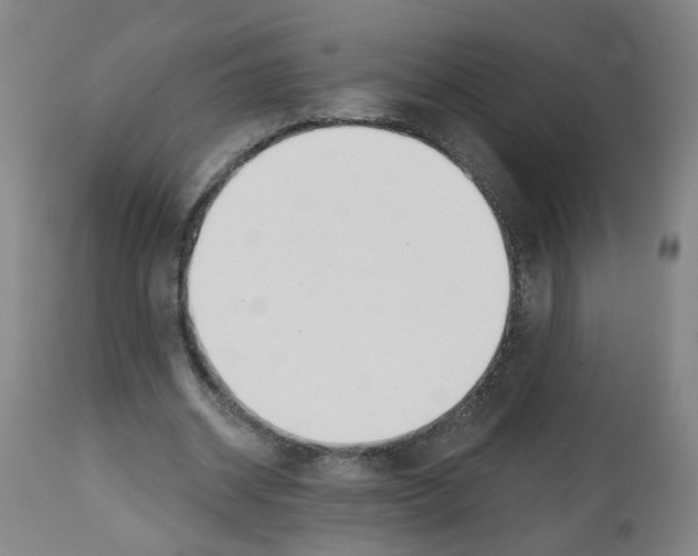 X0000112480534200909281112