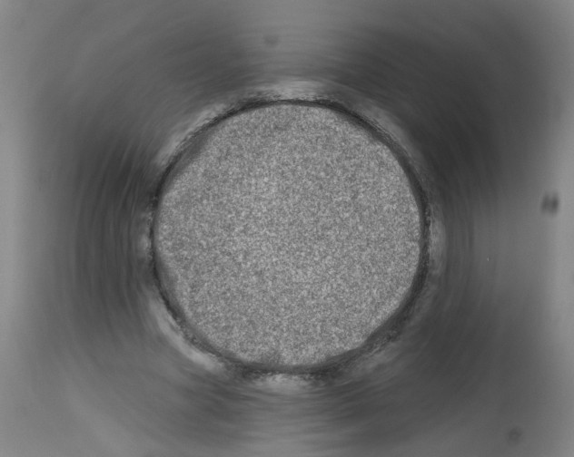 X0000112480537200909281112