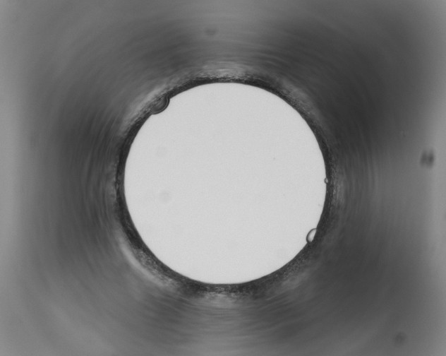 X0000112480538200909281112