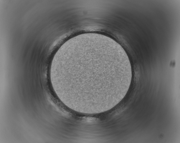 X0000112480539200909281112