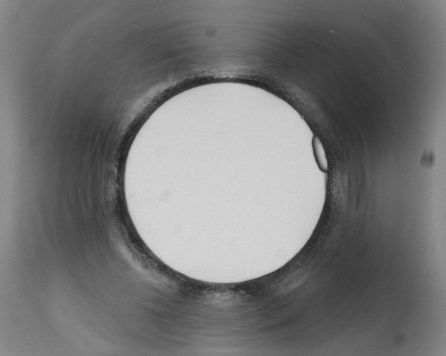 X0000112480540200909281112