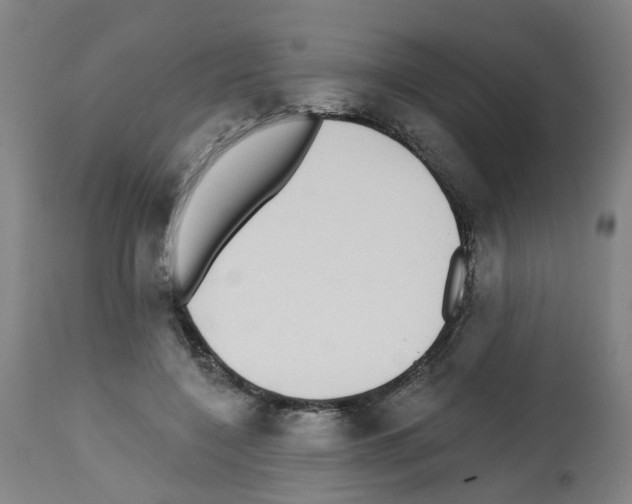 X0000112480548200909281112