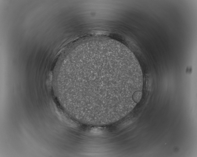 X0000112480550200909281112