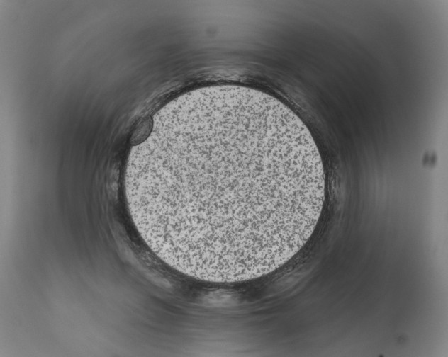 X0000112480551200909281112