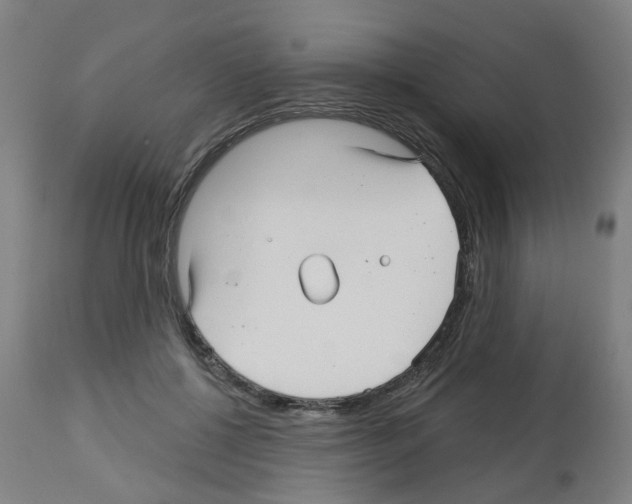 X0000112480552200909281112