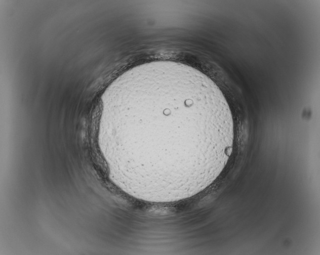 X0000112480553200909281112