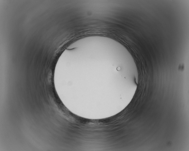 X0000112480556200909281112