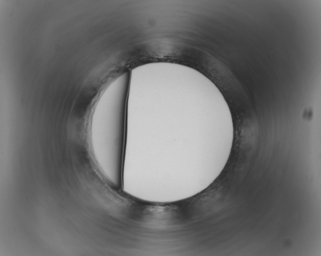 X0000112480558200909281112