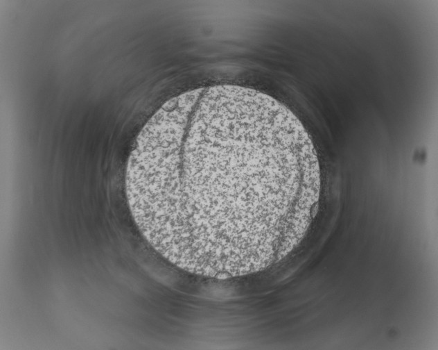 X0000112480561200909281112