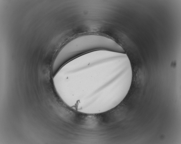 X0000112480562200909281112