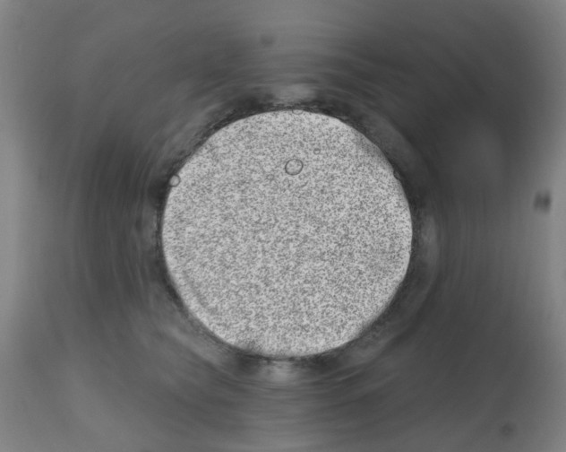 X0000112480565200909281112