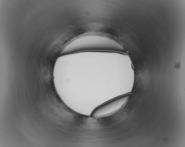 X0000112480566200909281112