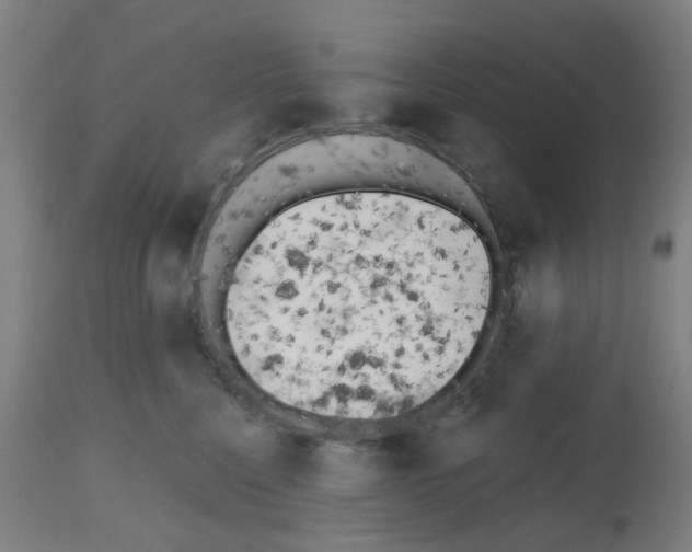 X0000112480568200909281112