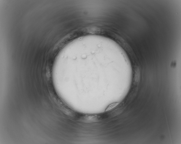 X0000112480569200909281112