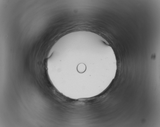 X0000112480572200909281112