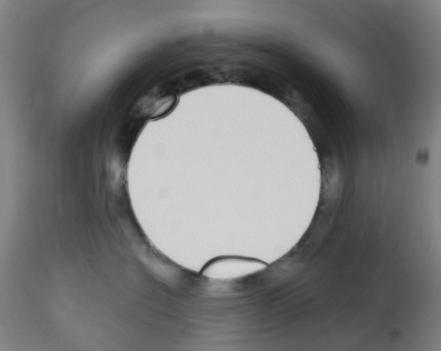 X0000112480574200909281112