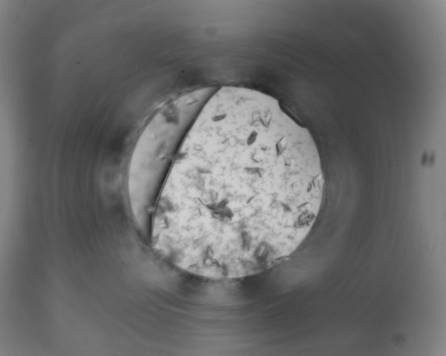 X0000112480576200909281112