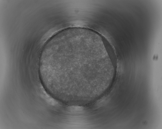 X0000112480577200909281111