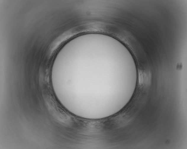 X0000112480579200909281111