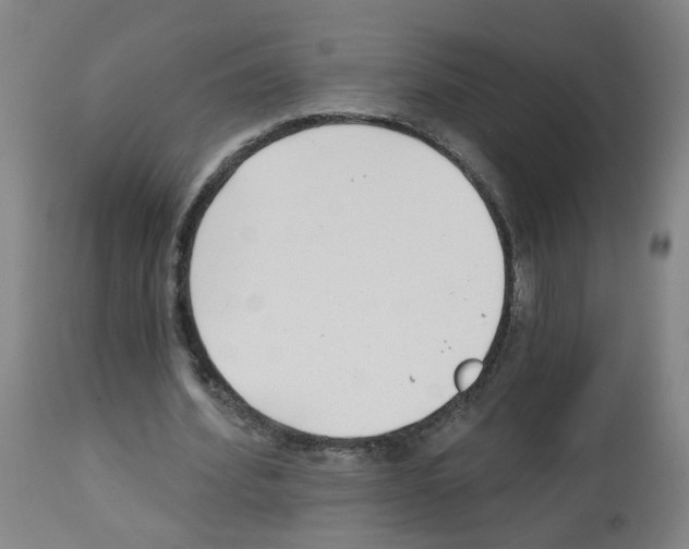 X0000112480580200909281111