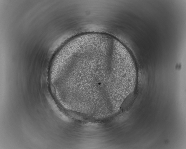 X0000112480581200909281111