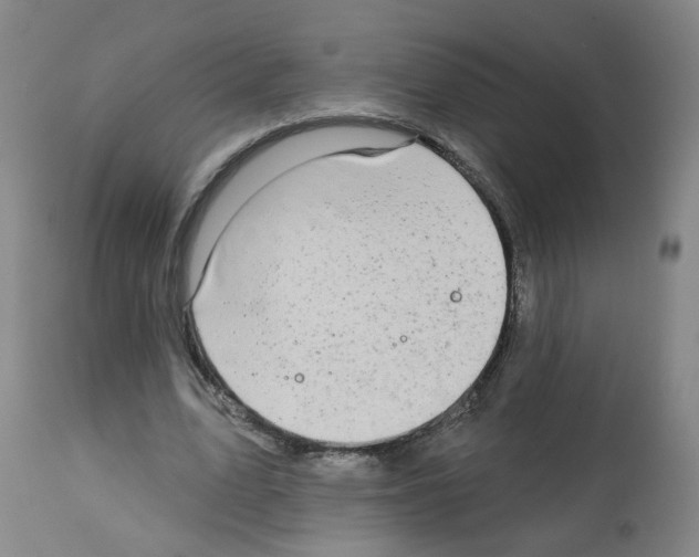 X0000112480583200909281111