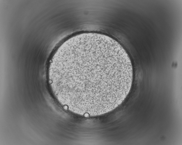 X0000112480584200909281111