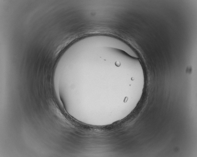 X0000112480585200909281111