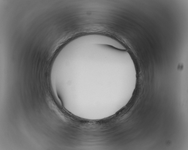 X0000112480589200909281111