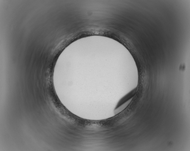 X0000112480594200909281111