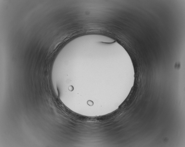 X0000112480595200909281111