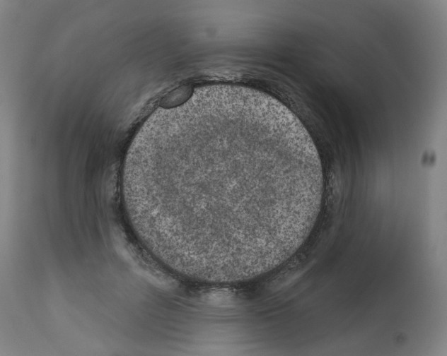 X0000112480600200909281111