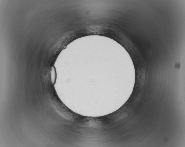 X0000112480601200909281111