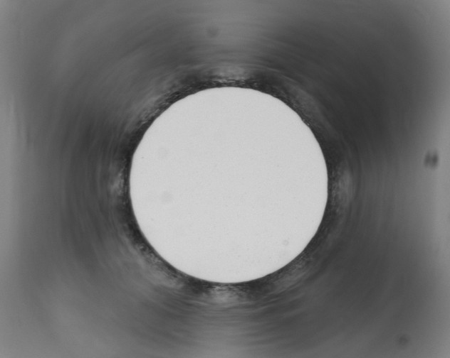 X0000112480608200909281111