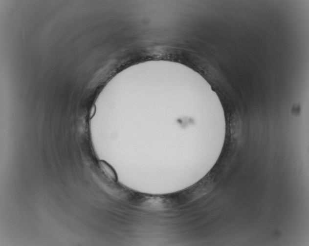 X0000112480611200909281111