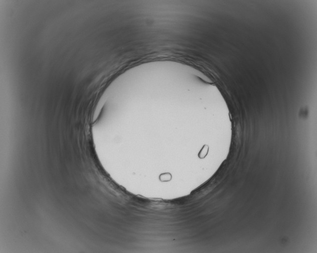 X0000112480617200909281111