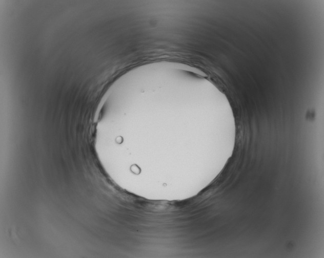 X0000112480621200909281111