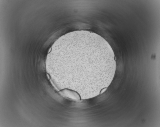 X0000112480622200909281111