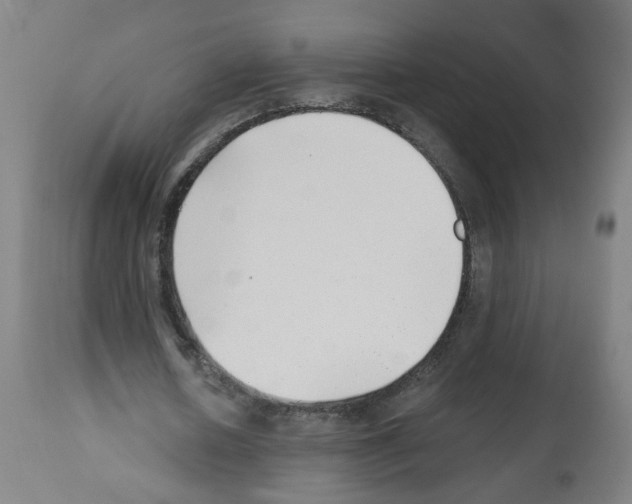 X0000112480626200909281110