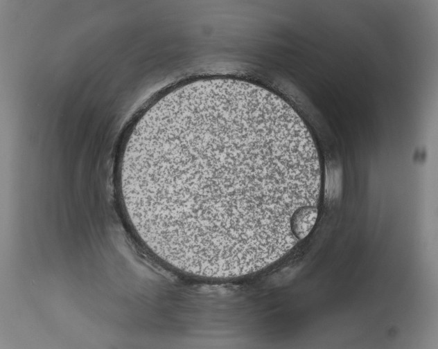 X0000112480627200909281110