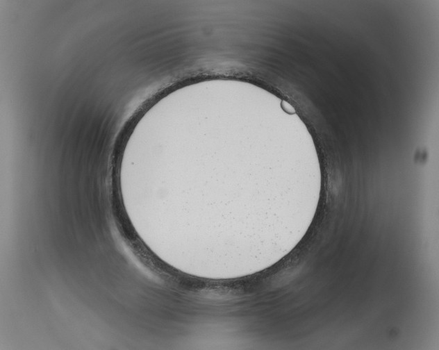 X0000112480630200909281110